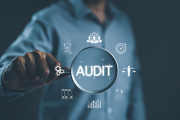 Internal Audit Unit