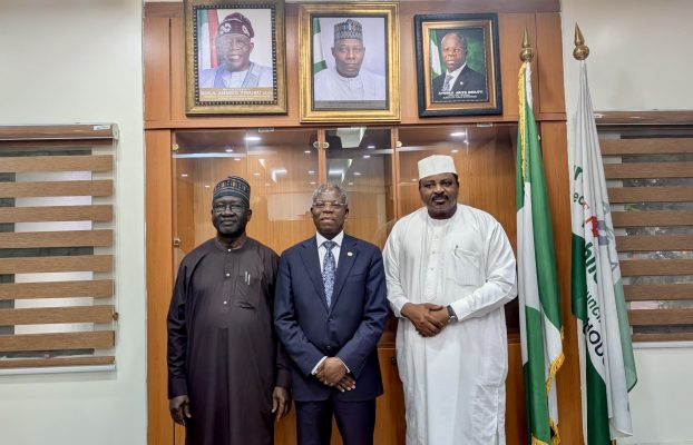 DG BPE Receives Mainstream Energy Delegation